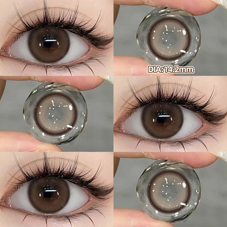 ALL NEW KOREAN SHADES ♥️ Korean Sandy Brown+Korean Circle Brown + Circle Grey